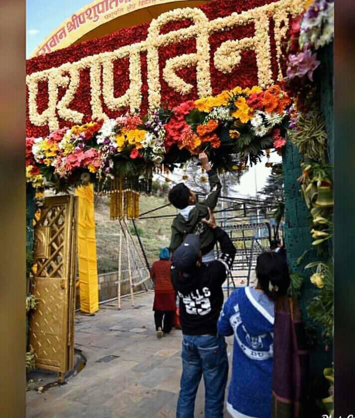 दुबो र फूलमा मन थाम्न नसकेपछि