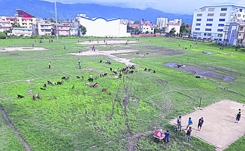 ३७ रोपनी जग्गा इन्स्टिच्युट अफ चाइल्ड हेल्थलाई दिने निर्णयको विरोध