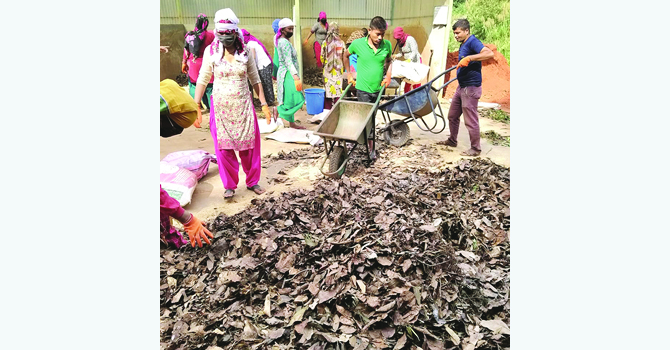 फोहोरबाट मोहोर बटुल्दै भक्तपुरकाे मध्यपुर थिमी