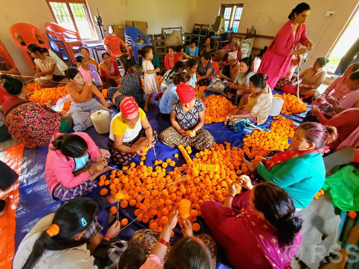 तनहुँमा उत्पादित सयपत्री कतार निर्यात