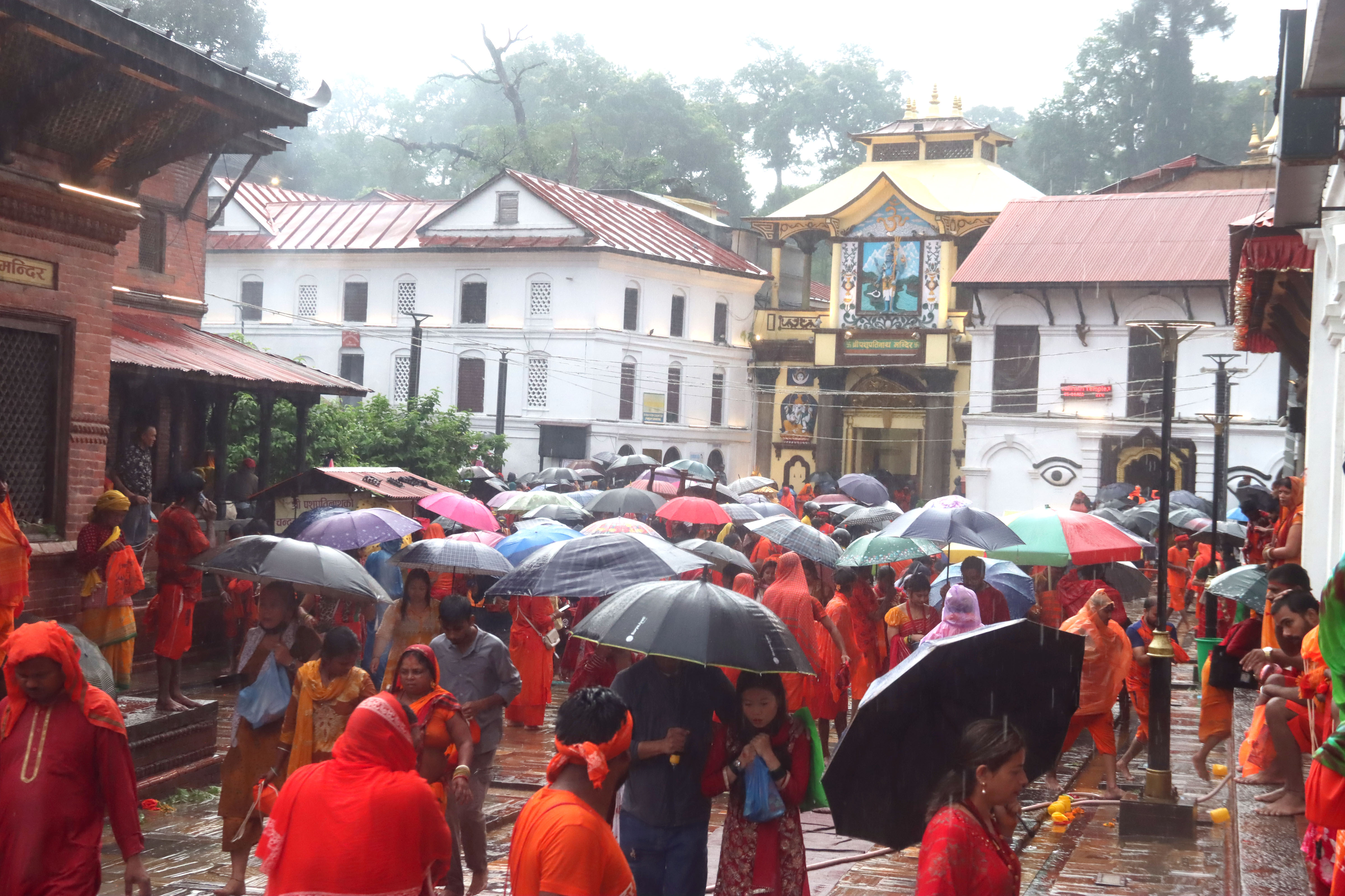 साउनको अन्तिम सोमबार: पशुपतिनाथमा भक्तजनको घुइँचो
