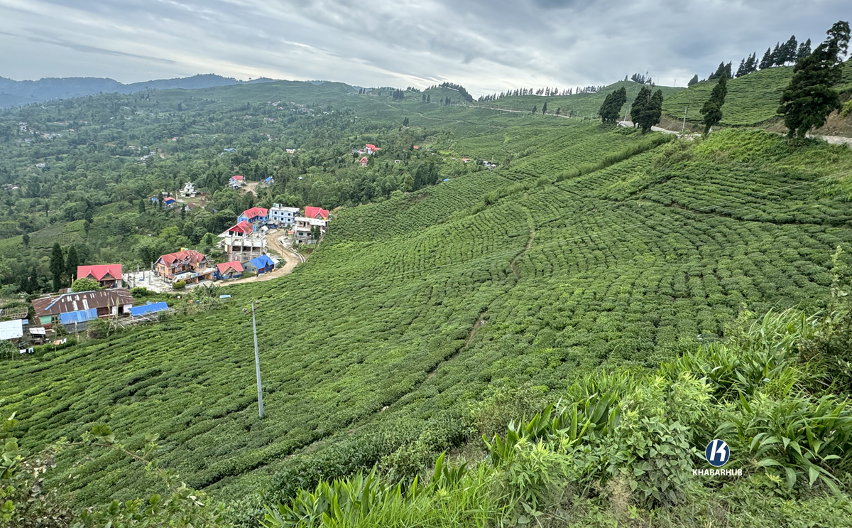 भारतीय पर्यटकको रोजाइमा पूर्वी पहाड