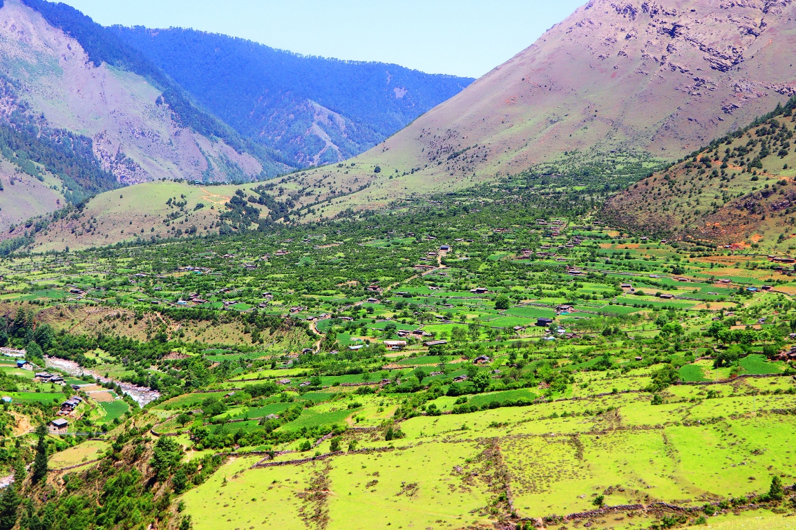 उज्यालो पर्खिरहेको निसेलढोर