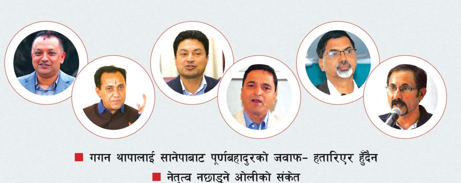 नेतृत्व लिन दलहरूमा युवाहरूको सक्रियता बढ्दै