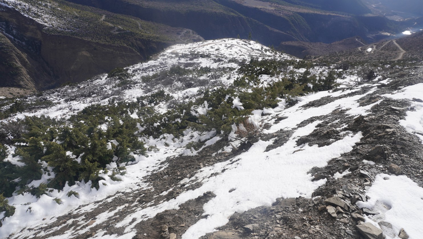 हिमपातले किसानलाई राहत