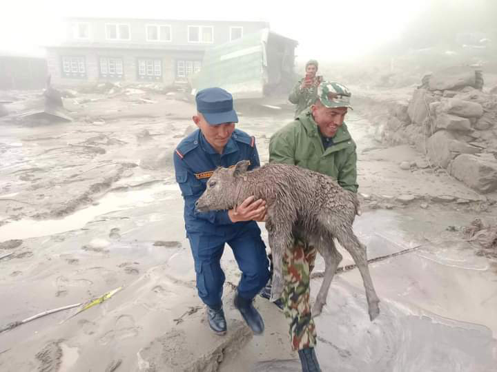 भोटेकोशीमा बाढी अपडेट: थामे गाउँका एक जना वेपत्ता, एक दर्जनभन्दा बढी घर बगायो