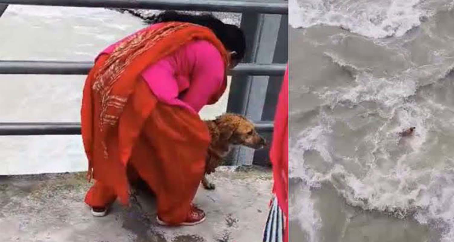 सेती नदीमा कुकुर फालिएको घटना : प्रहरीसमक्ष रोकायाले दिइन् यस्तो बयान