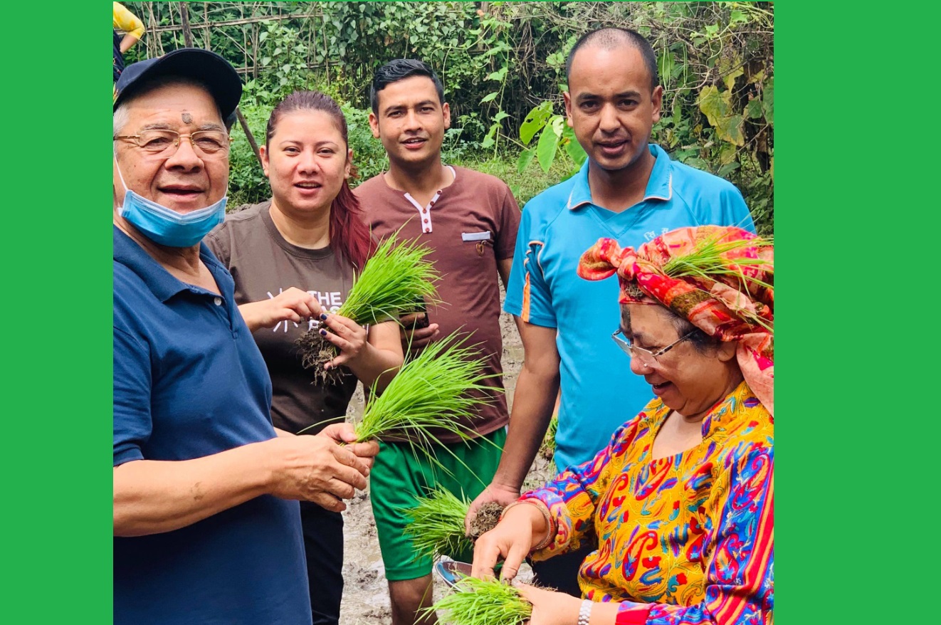 सलहबाट किसानलाई भएको नोक्सानको क्षतिपूर्ति सरकारले दिनुपर्छ: नेता गौतम