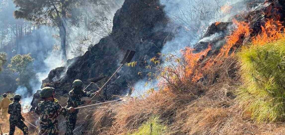 पाल्पामा मङ्गलबारदेखि लागेको डढेलो अझै निभेन, चारवटा सामुदायिक वनमा क्षति