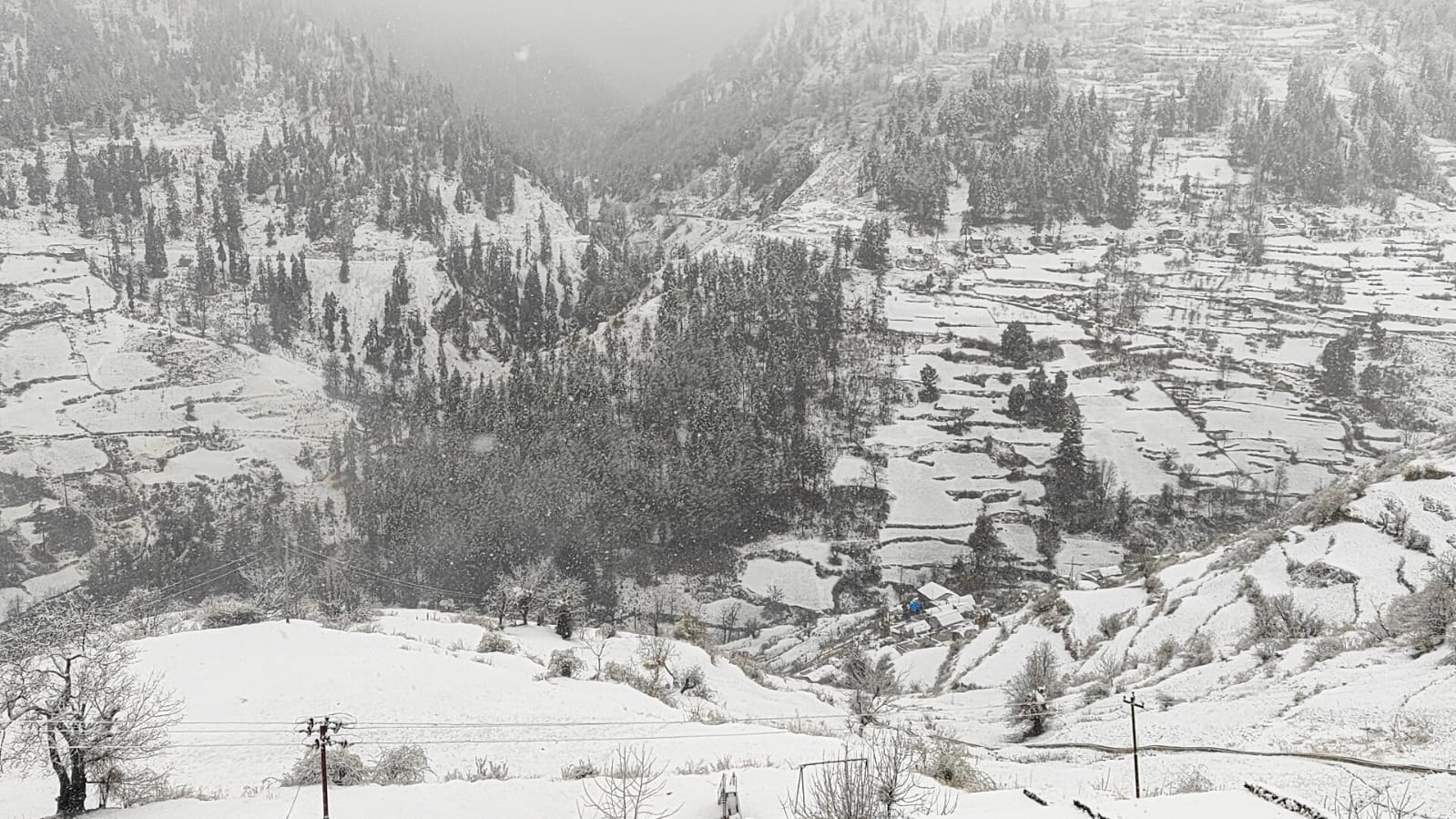 उच्च हिमाली क्षेत्रमा भारी हिमपात