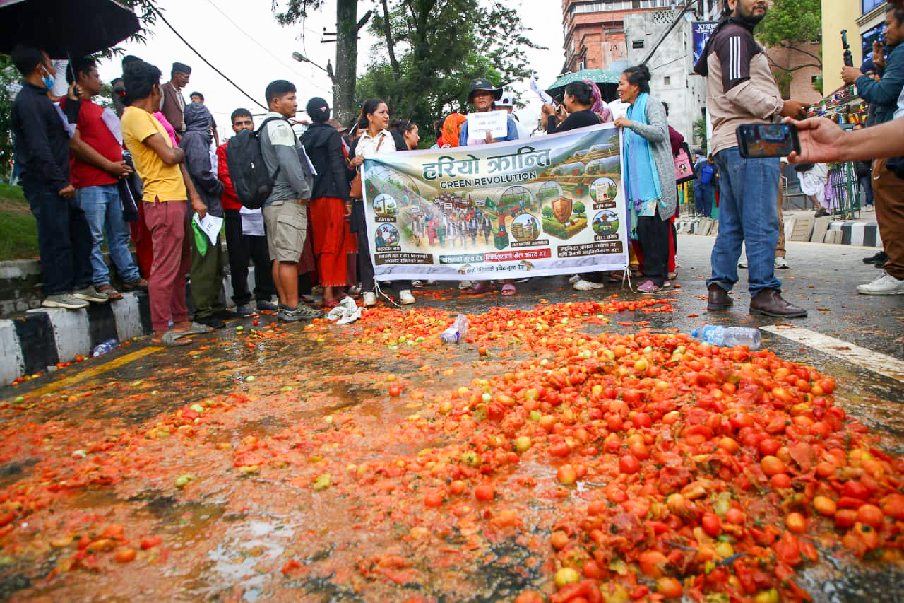 माइतीघरमा किसानको आन्दोलनपछि कृषि मन्त्री चौधरीको सक्रियता: कालीमाटीबाट उपत्यका बाहिर टमाटर ढुवानी सुरु