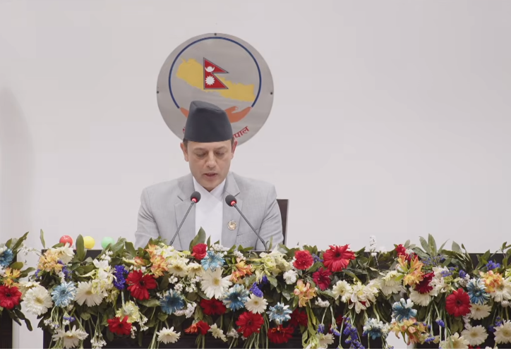 ९ दिनमै गठन भए सबै संसदीय समिति