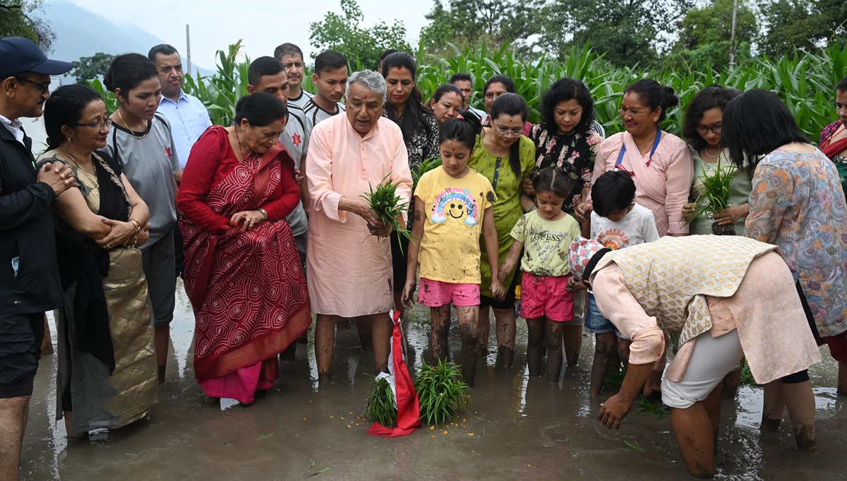 असार १५ः  राष्ट्रपति पौडेलले शीतल निवासमा रोपे धान