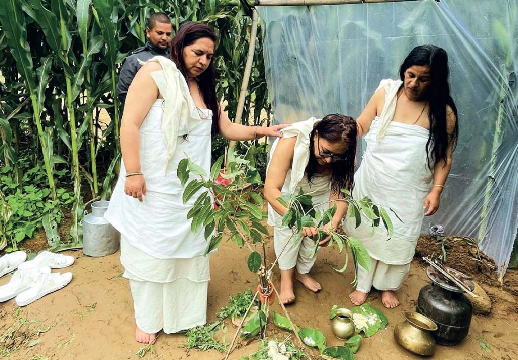 ‘गाउँकी न्यायाधीश’को एउटा भद्र विद्रोह